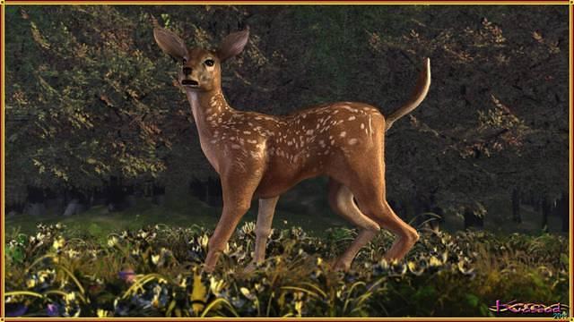 The Fawn