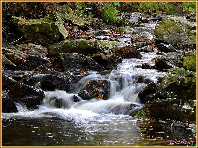 Automn River