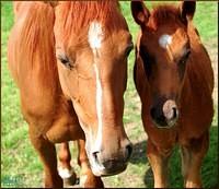 Mother and Daughter